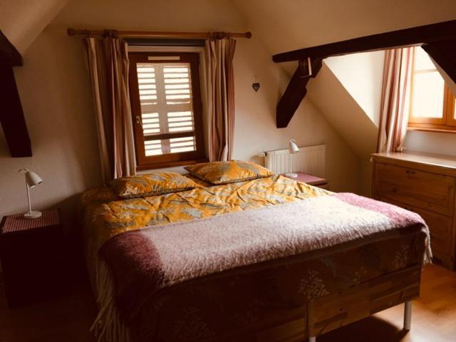 Appartement Au Charme Alsacien Kaysersberg-Vignoble Kültér fotó